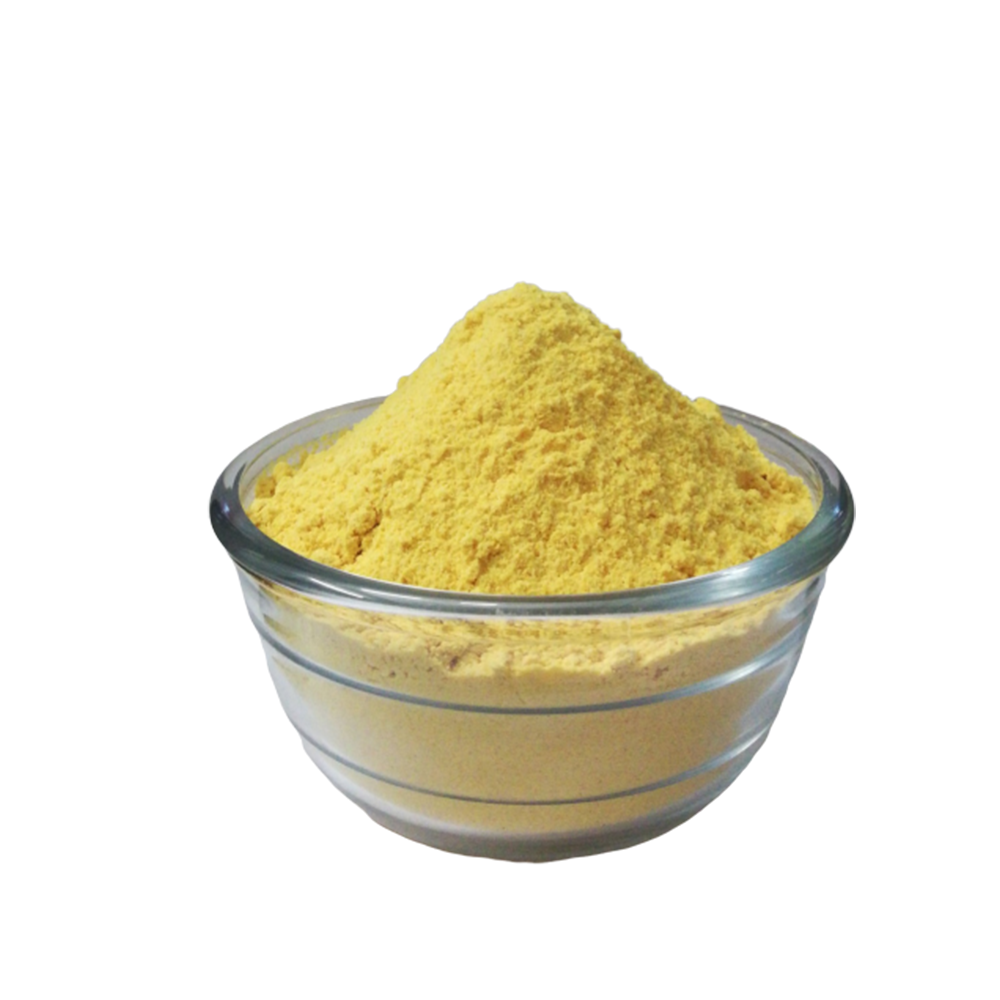 Premium Quality Freeze Dried Mango Powder