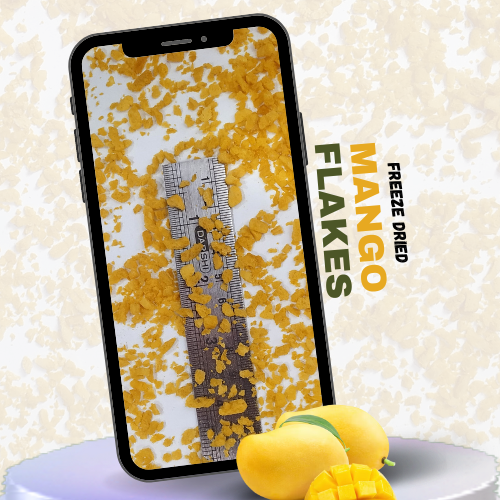 Premium Freeze Dried Mango Flakes Cut