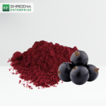 High Quality Spray Dried Black Currant Powder