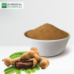 Premium Quality Spray Dried Tamarind Powder