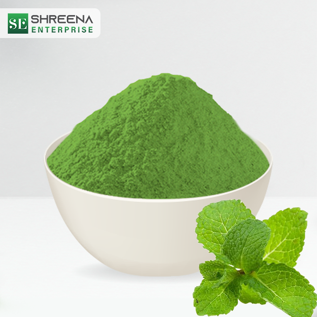 100% Natural Spray Dried Mint Powder