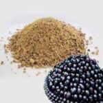 Best & High Quality Spray Dried Jamun Powder