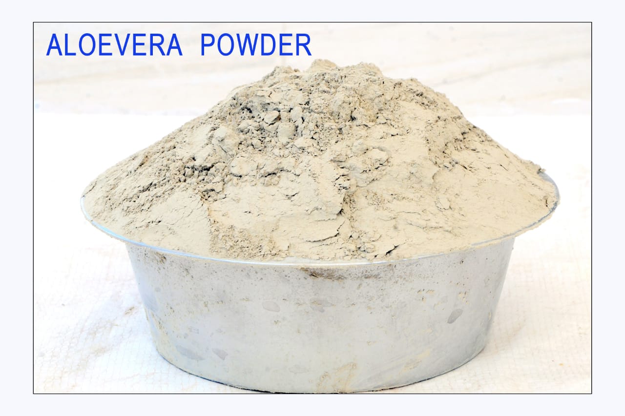 Handpicked High-Quality Natural Aloe Vera Powder