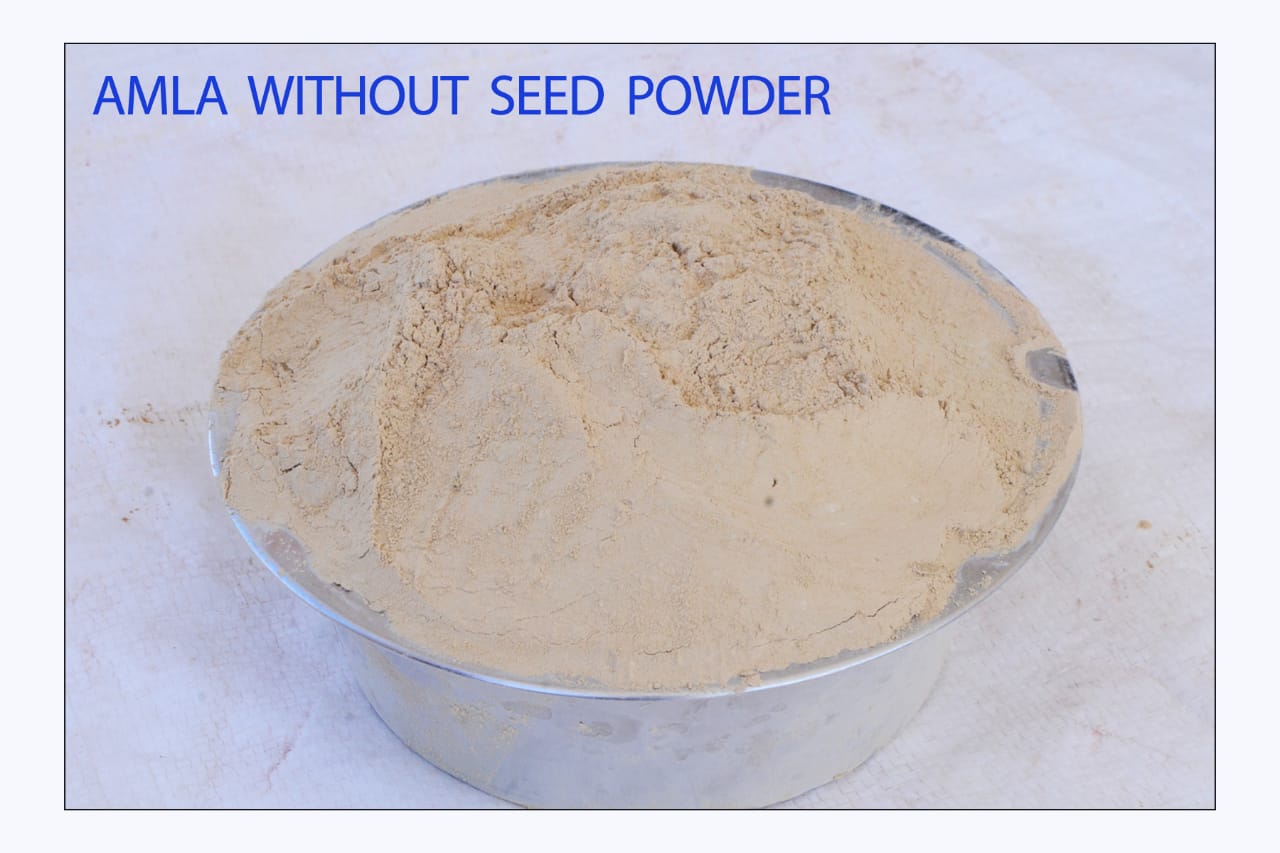 Premium High-Quality Amla Powder (without seed)