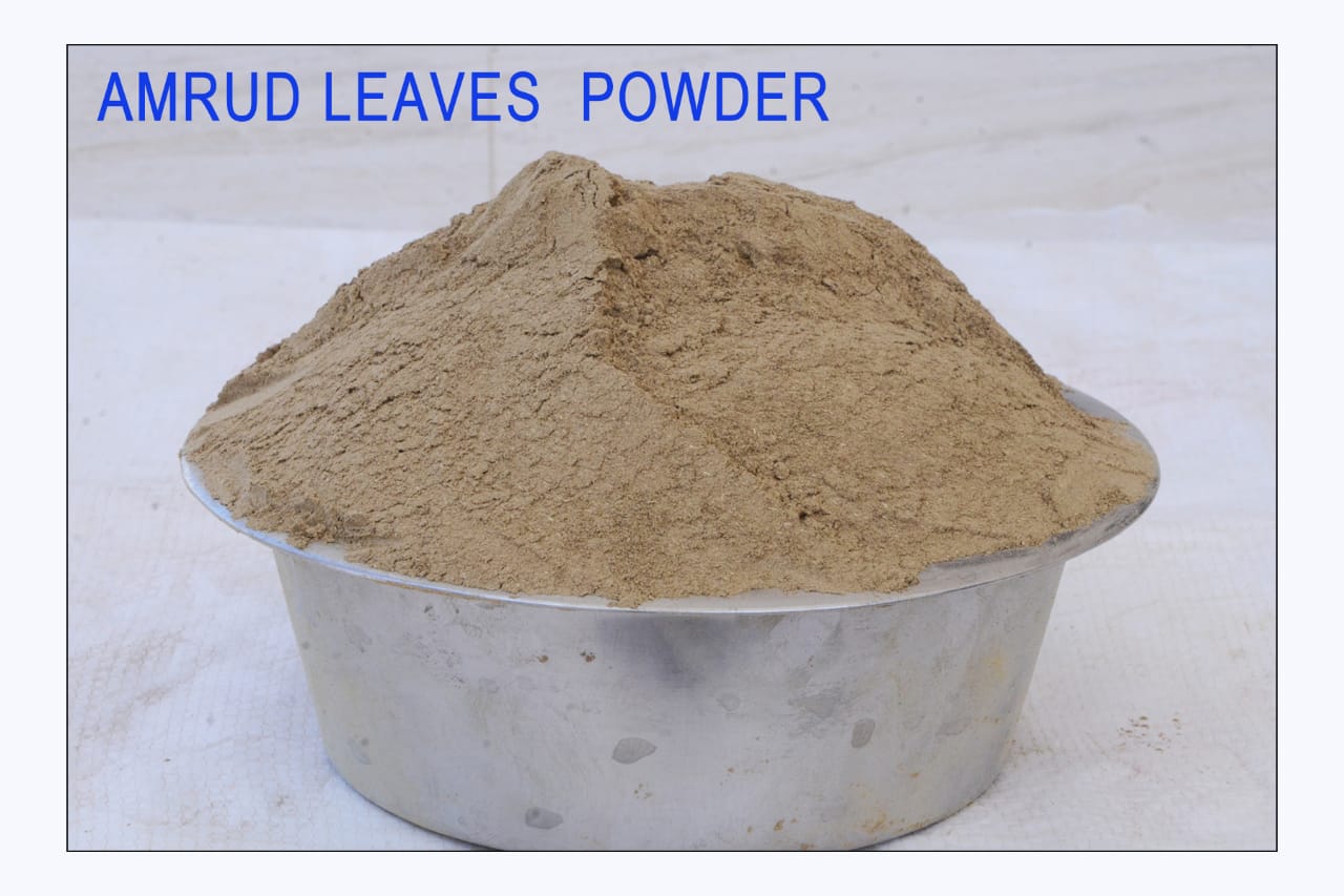 Exquisite High-Quality Amrud leaves powder