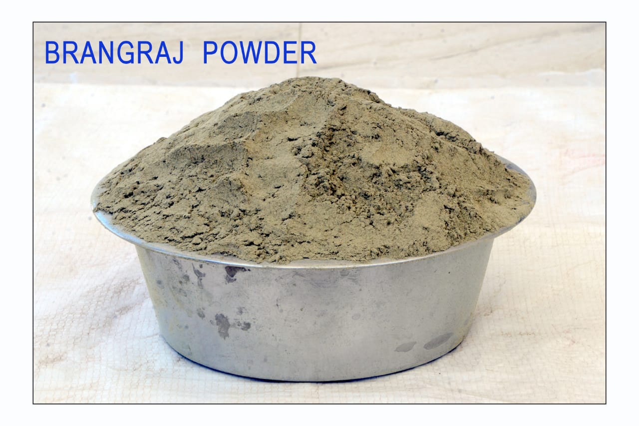 100% Pure and Natural Bhringraj Powder