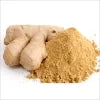 Best Quality Dehydrated Ginger Powder