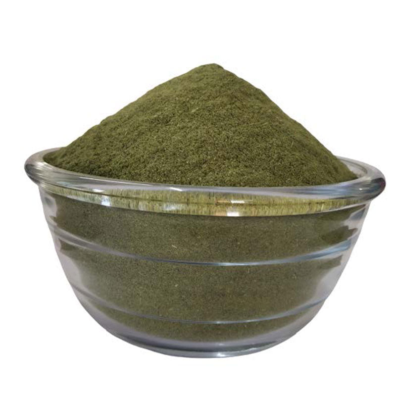 Superior Quality Freeze Dried Coriander Powder