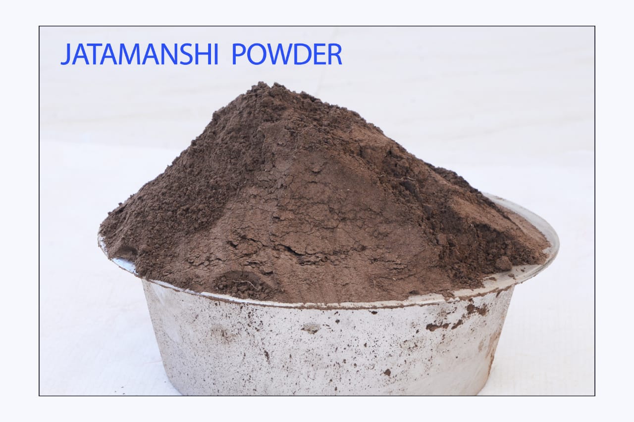 High-Quality & Best Quality Jatamansi Powder