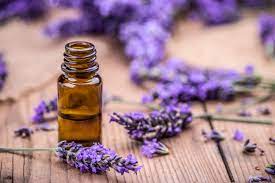 Nutrient-rich & High-Quality Lavender Oil 1 Ltr