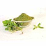 100% Natural and Delicious Tulsi Panchag Powder