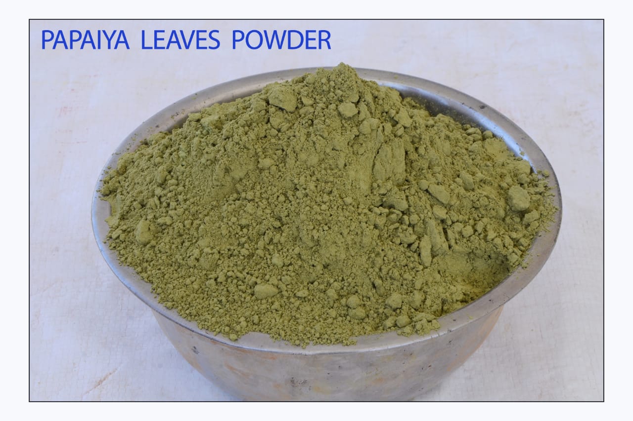 High Quality Papaya Leaves Powder