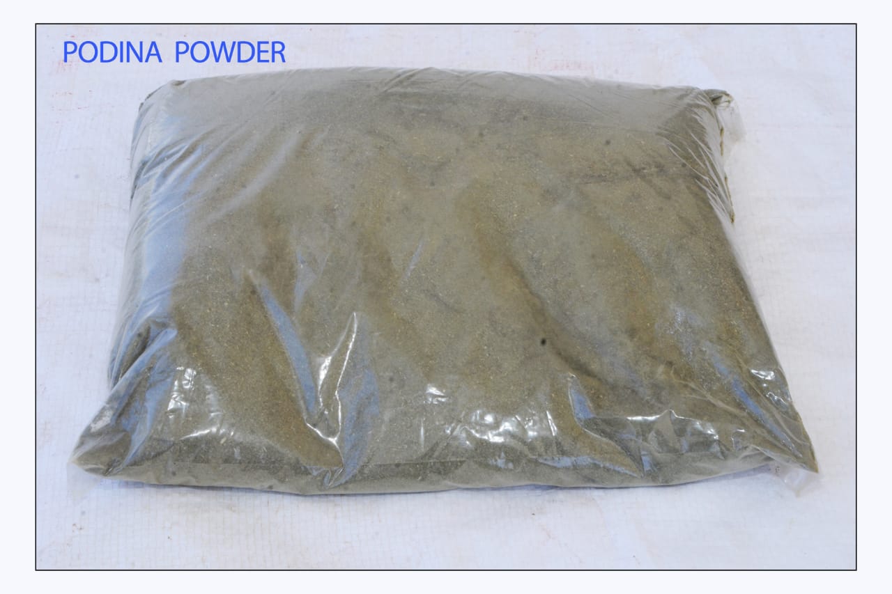 100% Natural & High Quality Pudina powder