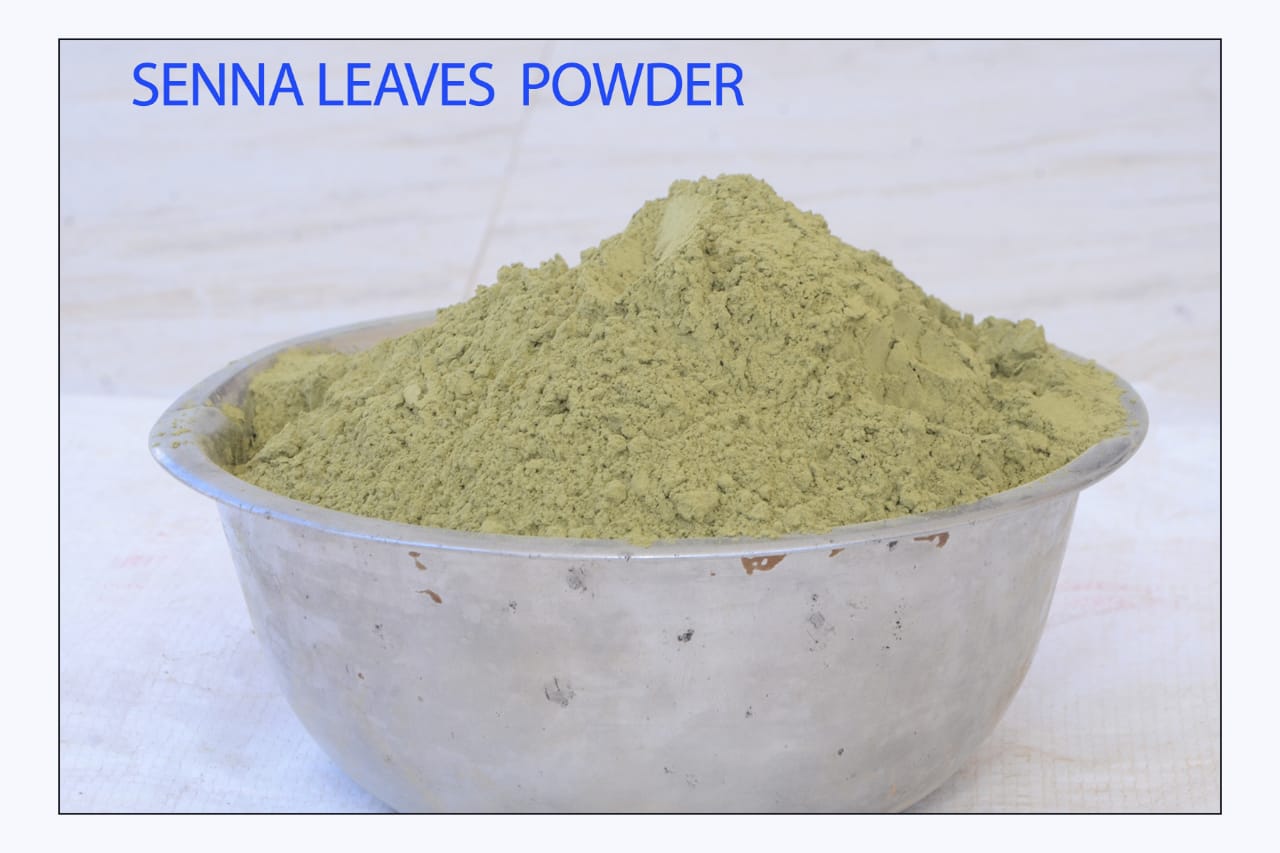 High Quality Senna Leaves Powder