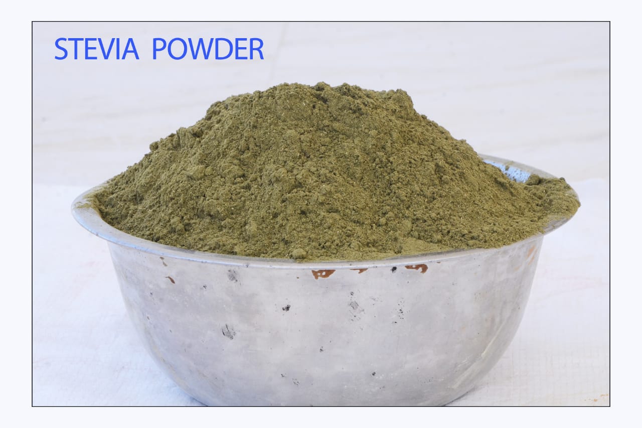 Best & Pure Quality Stevia Leaves Powder