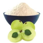 Best Quality Spray Dried Amla Powder