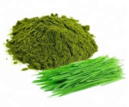 Premium High-Quality Wheatgrass Powder