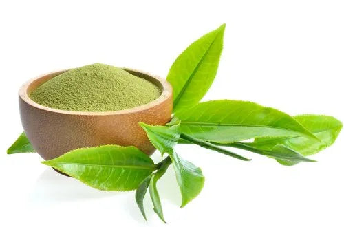 100% Pure and Natural Green Tea Extract-1 Kg