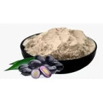 Best & High Quality Spray Dried Jamun Powder