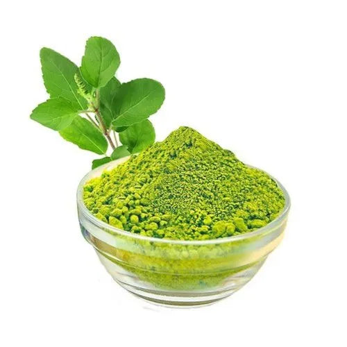 100% Pure and Natural Tulsi Leaves Powder